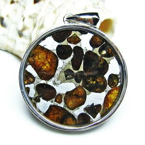 pTCg覐 y_g eICg y_ggbv Pallasite Meteorite ΓS覐 Ir p[Xg[ VR _ [] 112-9175