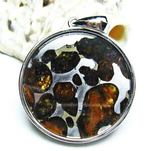 �p���T�C�g覐� �y���_���g �I���r�� �ΓS覐� �y���_���g�g�b�v Pallasite Meteorite pendant ���e�I���C�g �p���[�X�g�[�� �V�R�� ��_�� [��������] 112-9178
