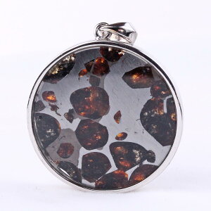 �p���T�C�g覐� �y���_���g �I���r�� �ΓS覐� �y���_���g�g�b�v Pallasite Meteorite pendant ���e�I���C�g �p���[�X�g�[�� �V�R�� ��_�� [��������] 112-9256