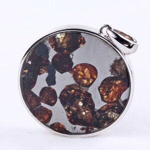 �p���T�C�g覐� �y���_���g ���e�I���C�g �y���_���g�g�b�v Pallasite Meteorite �ΓS覐� �I���r�� �p���[�X�g�[�� �V�R�� ��_�� [��������] 112-9257