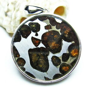 �p���T�C�g 覐� �y���_���g �I���r�� �ΓS覐� �y���_���g�g�b�v Pallasite Meteorite pendant ���e�I���C�g �p���[�X�g�[�� �V�R�� ��_�� [��������] 112-9260