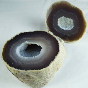 4.4Kg gW[mE AQ[g 󃁃mE ڕ~ WI[h  agate AQbg p[Xg[ VR J^  u CeA _ [] 175-1112