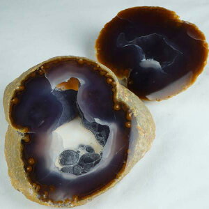 _PT5{ő2,000~OFF^ 2.9Kg gW[mE AQ[g 󃁃mE ڕ~ WI[h  agate AQbg p[Xg[ VR J^  u CeA _ [] 175-1114