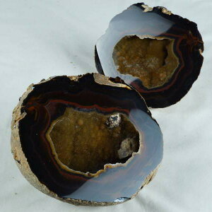 3.3Kg gW[mE AQ[g 󃁃mE ڕ~ WI[h  agate AQbg p[Xg[ VR J^  u CeA _ [] 175-1158