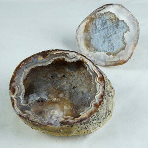 _}\ PT2{^ 1.7Kg gW[mE AQ[g 󃁃mE ڕ~ WI[h  agate AQbg p[Xg[ VR J^  u CeA _ [] 175-1183