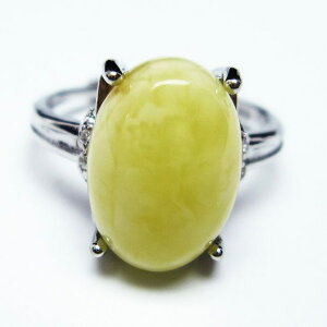 Ao[ O t[TCY 15  w amber ring  ANZT[ Y fB[X _ [։ [M 1/20] 115-4725