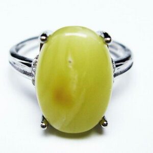 _}\ PT5{^ Ao[ O t[TCY 16 amber ring   w ANZT[ Y fB[X _ [։ [M 1/20] 115-4726