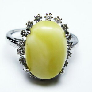 _}\PT5{I^ Ao[ O  w CG[Ao[ t[TCY ring 16 _ [։ [M 1/20] 115-4731