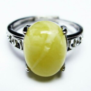 Ao[ O t[TCY 17 amber ring   w ANZT[ Y fB[X _ [։ [M 1/20] 115-4732