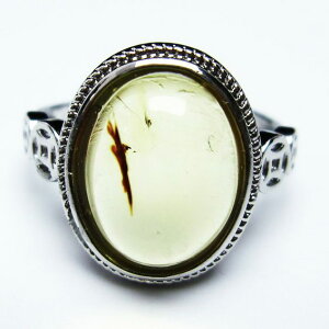 _|Cg10{5OFF^ Ao[ O  w CG[Ao[ t[TCY ring 17 _ [։ [M 1/20] 115-4746