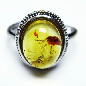Ao[ O t[TCY 16  w amber ring  ANZT[ Y fB[X _ [։ [M 1/20] 115-4748