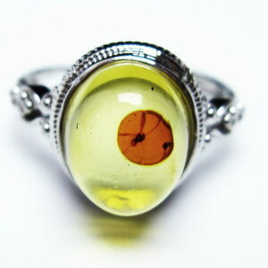 Ao[ O t[TCY 16  w amber ring  ANZT[ Y fB[X _ [։ [M 1/20] 115-4750