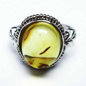 Ao[ O  w CG[Ao[ t[TCY ring 15 _ [։ [M 1/20] 115-4752