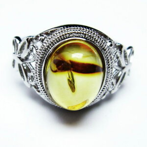 _PT5{ő2,000~OFF^ Ao[ O  w CG[Ao[ t[TCY ring 19 _ [։ [M 1/20] 115-4753