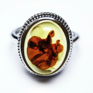 Ao[ O t[TCY 15 amber ring   w ANZT[ Y fB[X _ [։ [M 1/20] 115-4757