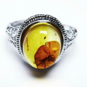 Ao[ O t[TCY 15 amber ring   w ANZT[ Y fB[X _ [։ [M 1/20] 115-4759