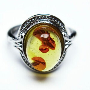 Ao[ O t[TCY 14 amber ring   w ANZT[ Y fB[X _ [։ [M 1/20] 115-4763