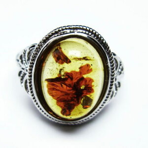 Ao[ O t[TCY 15  w amber ring  ANZT[ Y fB[X _ [։ [M 1/20] 115-4772