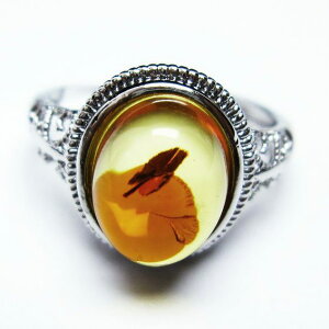 Ao[ O t[TCY 16  w amber ring  ANZT[ Y fB[X _ [։ [M 1/20] 115-4774