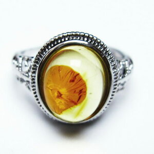 Ao[ O t[TCY 13 amber ring   w ANZT[ Y fB[X _ [։ [M 1/20] 115-4775