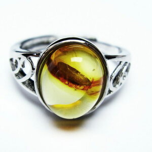Ao[ O t[TCY 14 amber ring   w ANZT[ Y fB[X _ [։ [M 1/20] 115-4781