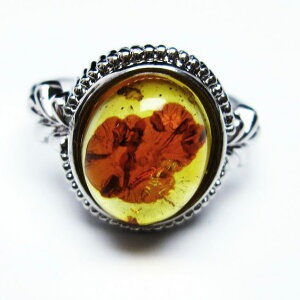 Ao[ O t[TCY 16  w amber ring  ANZT[ Y fB[X _ [։ [M 1/20] 115-4782