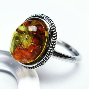 _PT5{ő2,000~OFF^ Ao[ O t[TCY 17  w amber ring  ANZT[ Y fB[X _ [։ [M 1/20] 115-4788