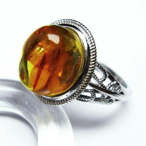 Ao[ O t[TCY 14 amber ring   w ANZT[ Y fB[X _ [։ [M 1/20] 115-4789