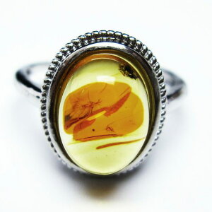 Ao[ O t[TCY 17  w amber ring  ANZT[ Y fB[X _ [։ [M 1/20] 115-4790