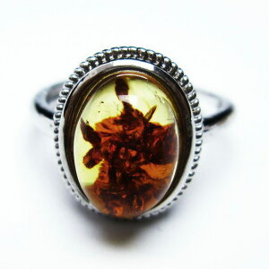 Ao[ O t[TCY 16  w amber ring  ANZT[ Y fB[X _ [։ [M 1/20] 115-4794