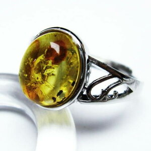 Ao[ O t[TCY 14 amber ring   w ANZT[ Y fB[X _ [։ [M 1/20] 115-4799