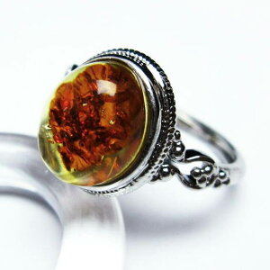 Ao[ O t[TCY 17  w amber ring  ANZT[ Y fB[X _ [։ [M 1/20] 115-4800