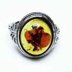 Ao[ O t[TCY 16  w amber ring  ANZT[ Y fB[X _ [։ [M 1/20] 115-4802
