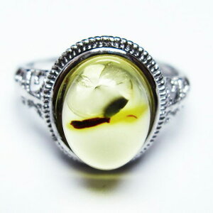 Ao[ O t[TCY 16 amber ring   w ANZT[ Y fB[X _ [։ [M 1/20] 115-4803