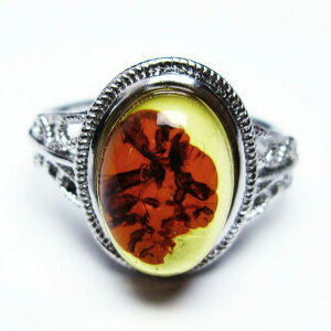Ao[ O t[TCY 14 amber ring   w ANZT[ Y fB[X _ [։ [M 1/20] 115-4809