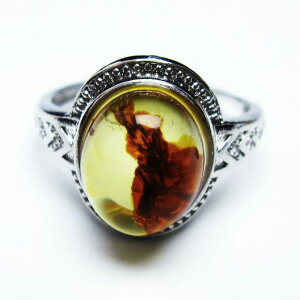 Ao[ O t[TCY 16  w amber ring  ANZT[ Y fB[X _ [։ [M 1/20] 115-4812
