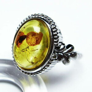Ao[ O t[TCY 14  w amber ring  ANZT[ Y fB[X _ [։ [M 1/20] 115-4814