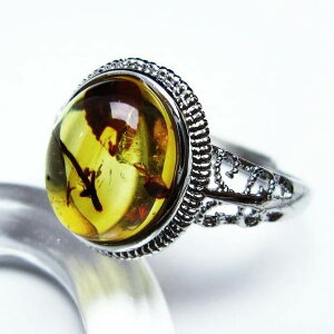 _}\PT5{^ Ao[ O t[TCY 15 amber ring   w ANZT[ Y fB[X _ [։ [M 1/20] 115-4815