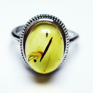 _}\PT5{I^ Ao[ O  w CG[Ao[ t[TCY ring 16 _ [։ [M 1/20] 115-4821