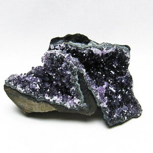 _PT5{ő2,000~OFF^ AWXg  AWXg NX^[ EOACY cluster AVXg amethyst  p[Xg[ VR AWXgh[ ametista _  182-5537