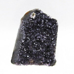 _PT5{ő2,000~OFF^ AWXg  AWXg NX^[ EOACY cluster AVXg amethyst  p[Xg[ VR AeBX^ AWXgh[ _  182-5563