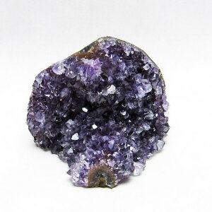 AWXg  AWXg NX^[ EOACY cluster AVXg amethyst  p[Xg[ VR AeBX^ AWXgh[ _  182-5590