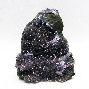 _PT5{ő2,000~OFF^ AWXg  AWXg NX^[ EOACY cluster AVXg amethyst  p[Xg[ VR ametista t[AWXg AWXgh[ _ 