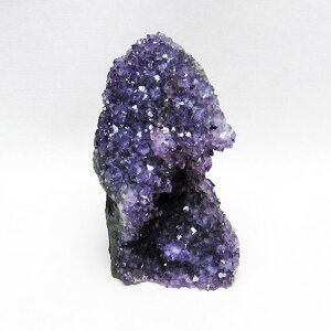 _PT5{ő2,000~OFF^ AWXg  AWXg NX^[ EOACY cluster AVXg amethyst  p[Xg[ VR t[AWXg AWXgh[ ametista _ 