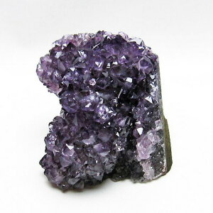 AWXg  AWXg NX^[ EOACY cluster AVXg amethyst  p[Xg[ VR t[AWXg AWXgh[ ametista _  182-5620