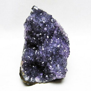 AWXg  AWXg NX^[ EOACY cluster AVXg amethyst  p[Xg[ VR t[AWXg AWXgh[ ametista _  182-5621