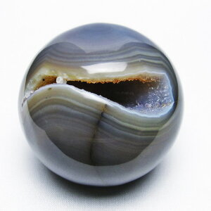 AQ[g Ό ۋ t WI[h u   J^ N _ [] 151-5631