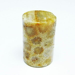 _|Cg10{ő3~OFF^ tHbVR[ ~ ^u X R[ ~   p[Xg[ VR _ [։ [M 1/10] 112-9375