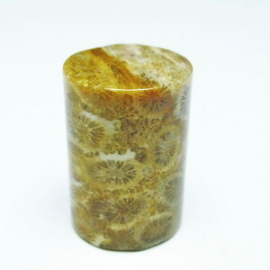 _|Cg10{5OFF^ tHbVR[  X p[Xg[ _ [։ [M 1/10] 112-9378