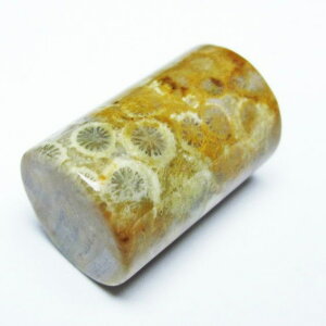 _|Cg10{ő3~OFF^ tHbVR[ ~ ^u X R[ ~   p[Xg[ VR _ [։ [M 1/10] 112-9379